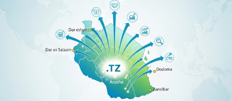 Truehost's ,tz domain: made for your tanzanian business