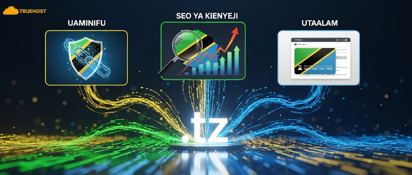 umuhimu wa .tz domain