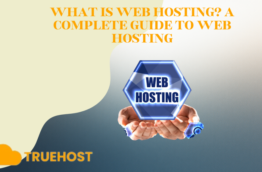 What is Web Hosting?