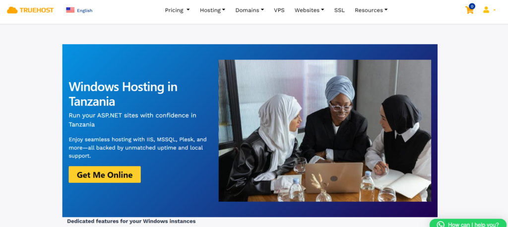 Truehost Windows Hosting Plans and What You Can Expect