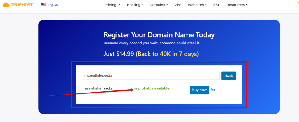 What Does It Mean When a Domain Name Is Available?