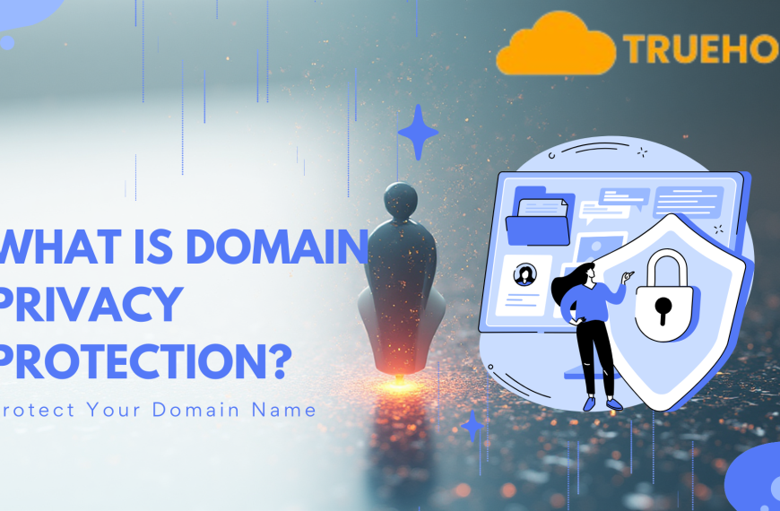 What is Domain Privacy Protection