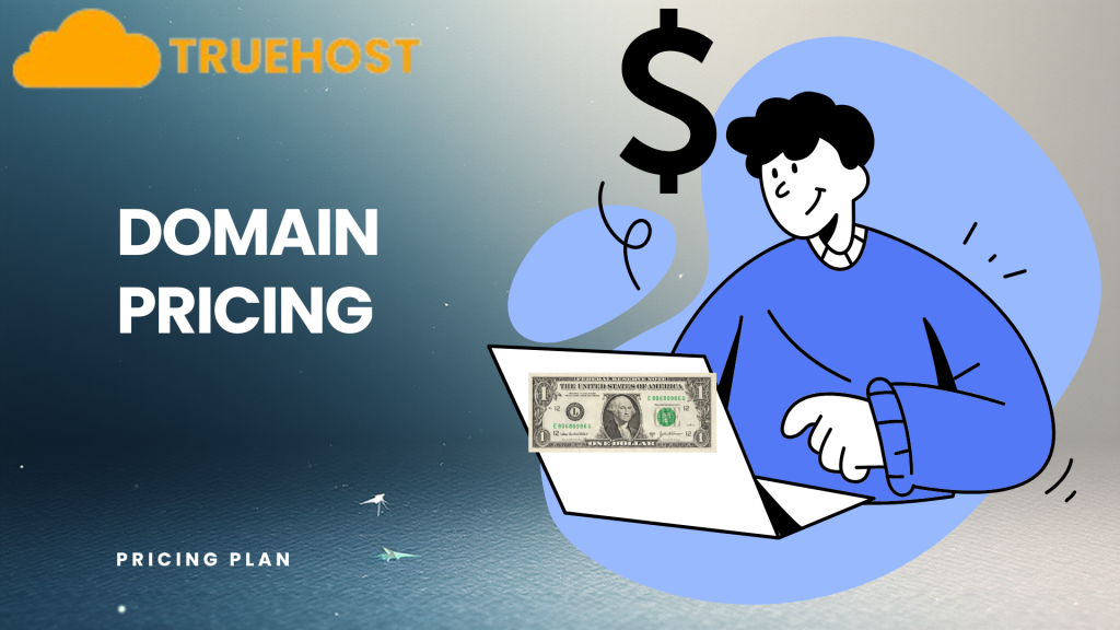 Domain Name Pricing: What to Expect and How to Find the Best Deals in Tanzania