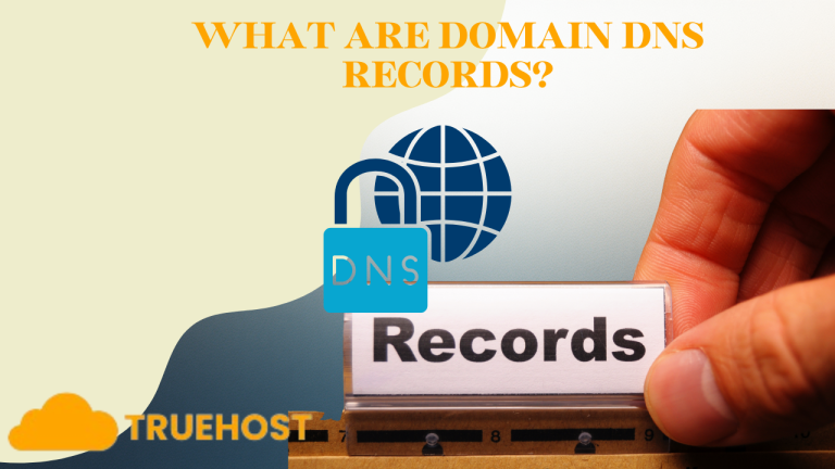 What Are Domain DNS Records in Tanzania
