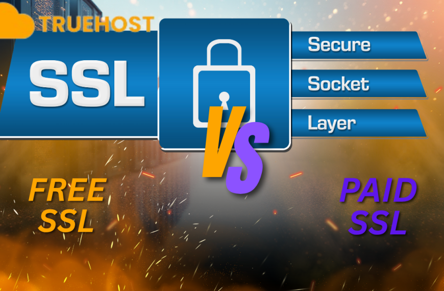 Free SSL vs Paid SSL Certificate: Which One Should You Choose in Tanzania in 2025?
