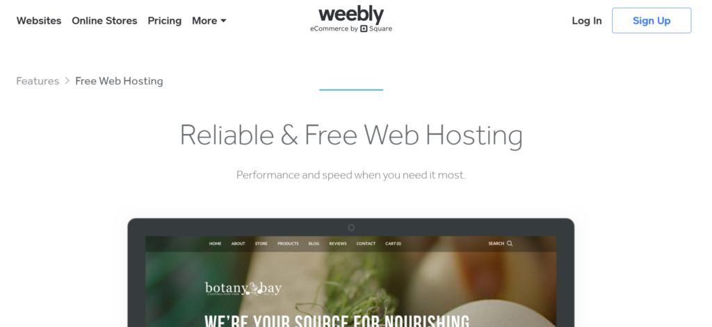 Best Free Web Hosting