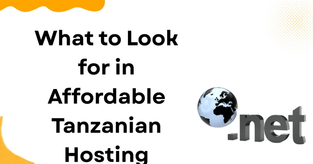 What to Look for in Affordable Tanzanian Hosting