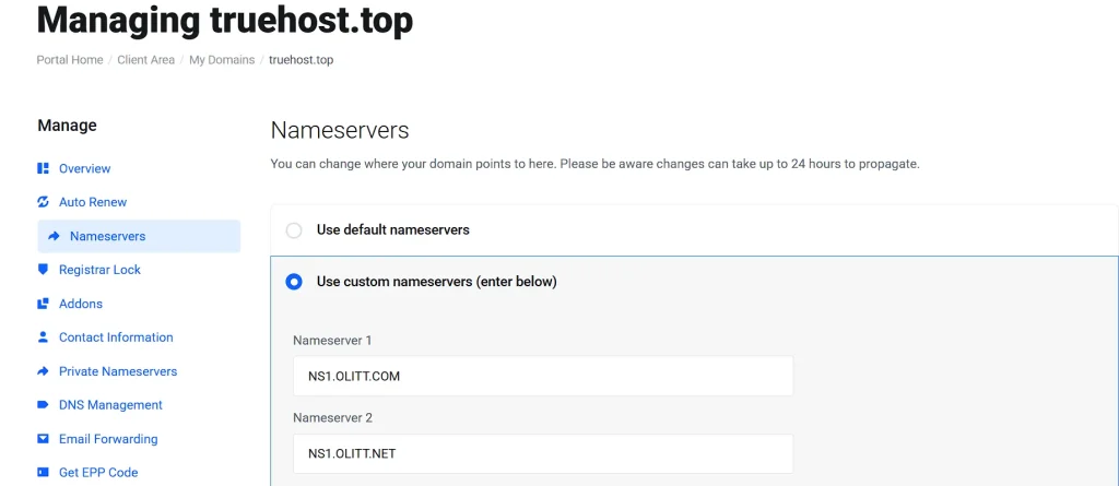 Nameservers
You can change where your domain points to here. Please be aware changes can take up to 24 hours to propagate.