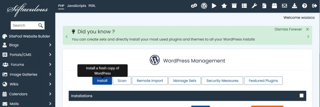 wordpress management